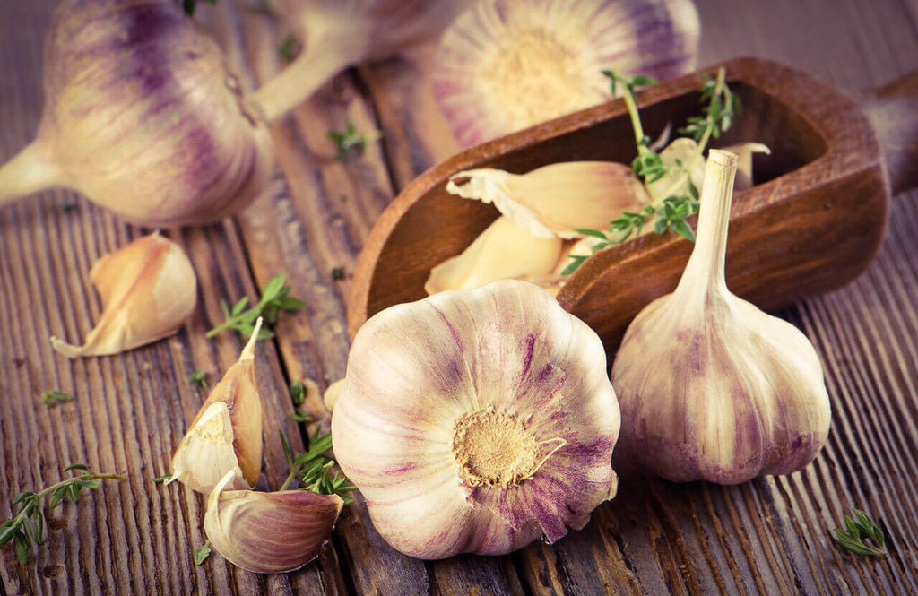 12 Amazing Health Benefits of Garlic